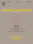 Neurocomputing